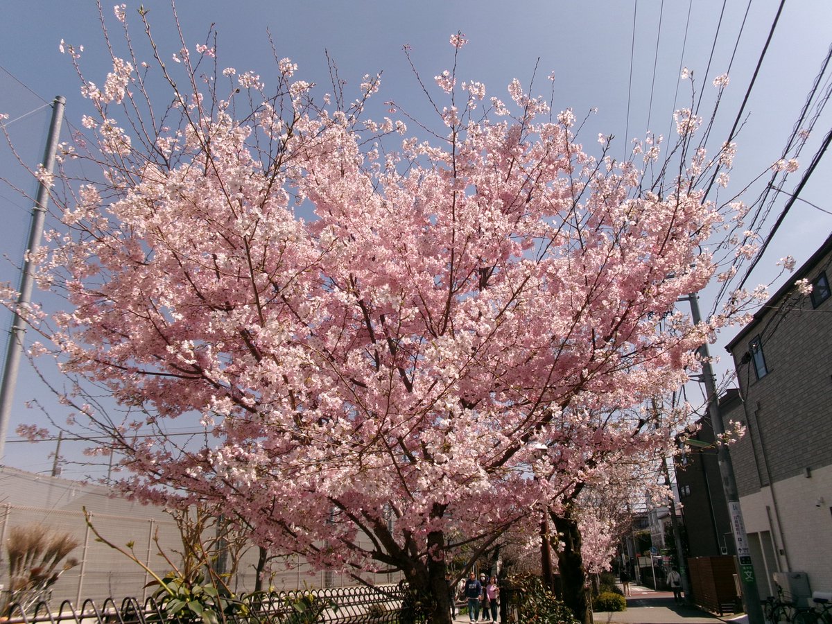 𝗆𝗈𝖼𝗈 tweet media