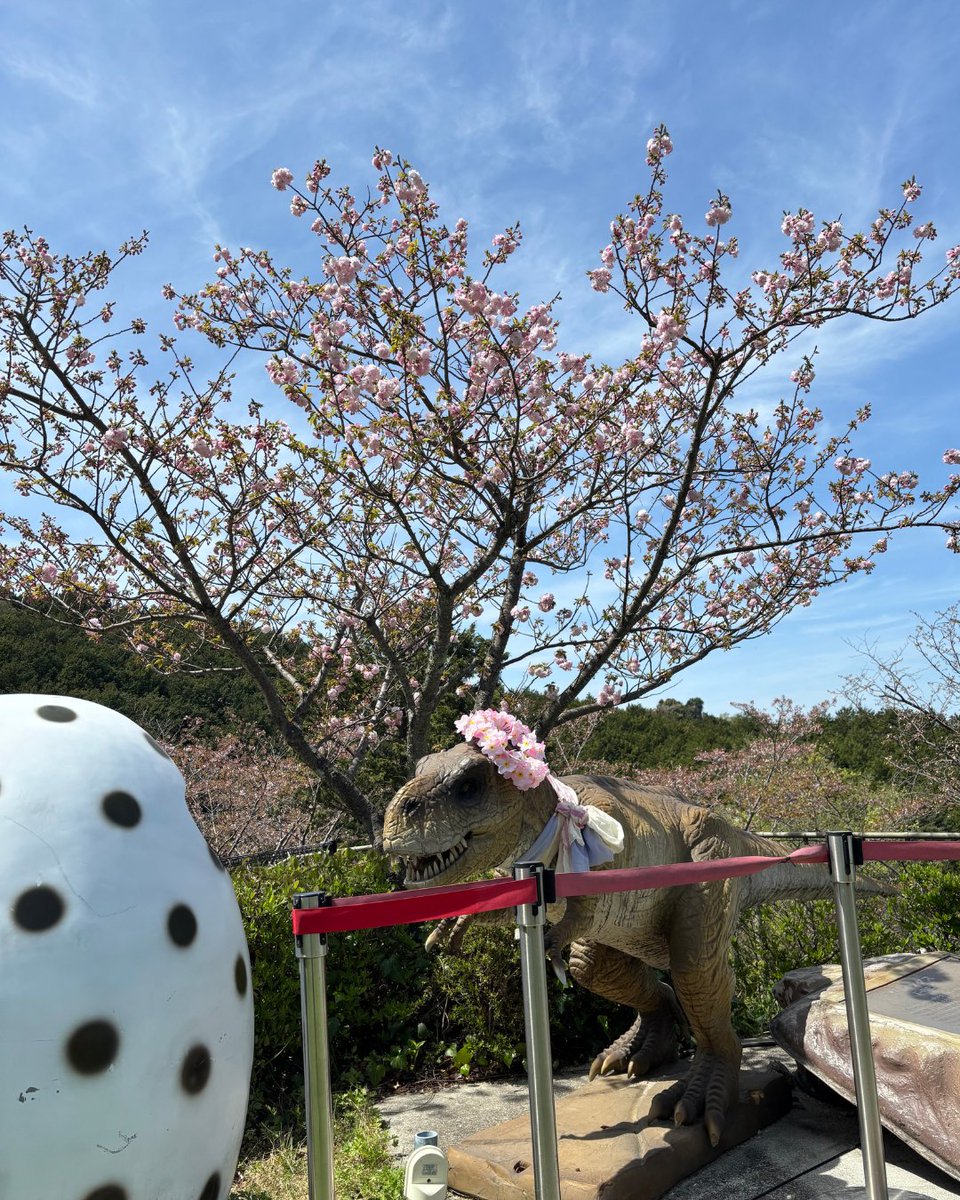 関西サイクルスポーツセンター【公式】 tweet media