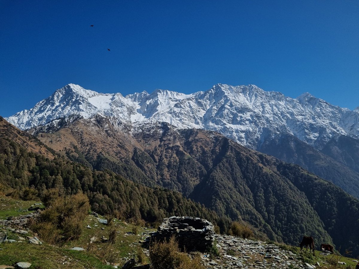 Ajay Sharma tweet media