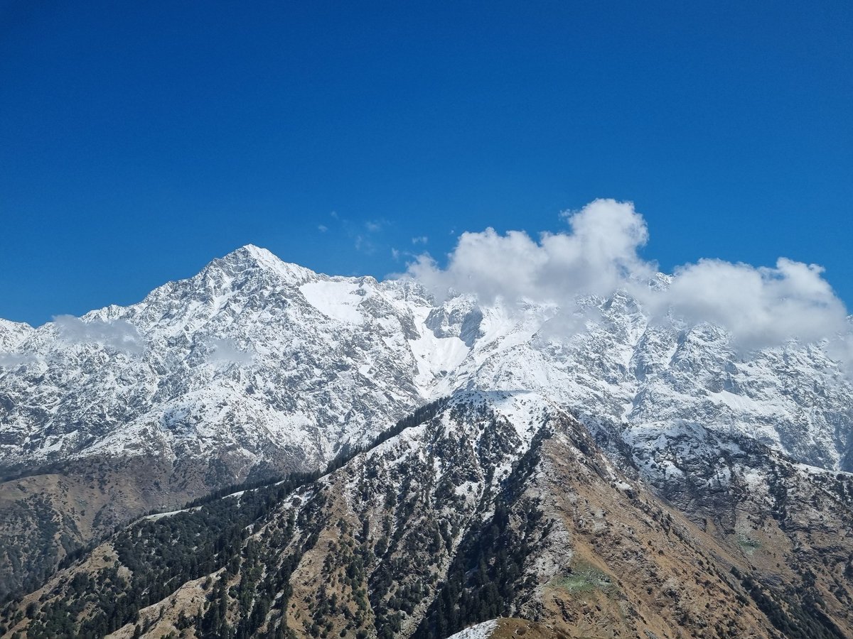 Ajay Sharma tweet media