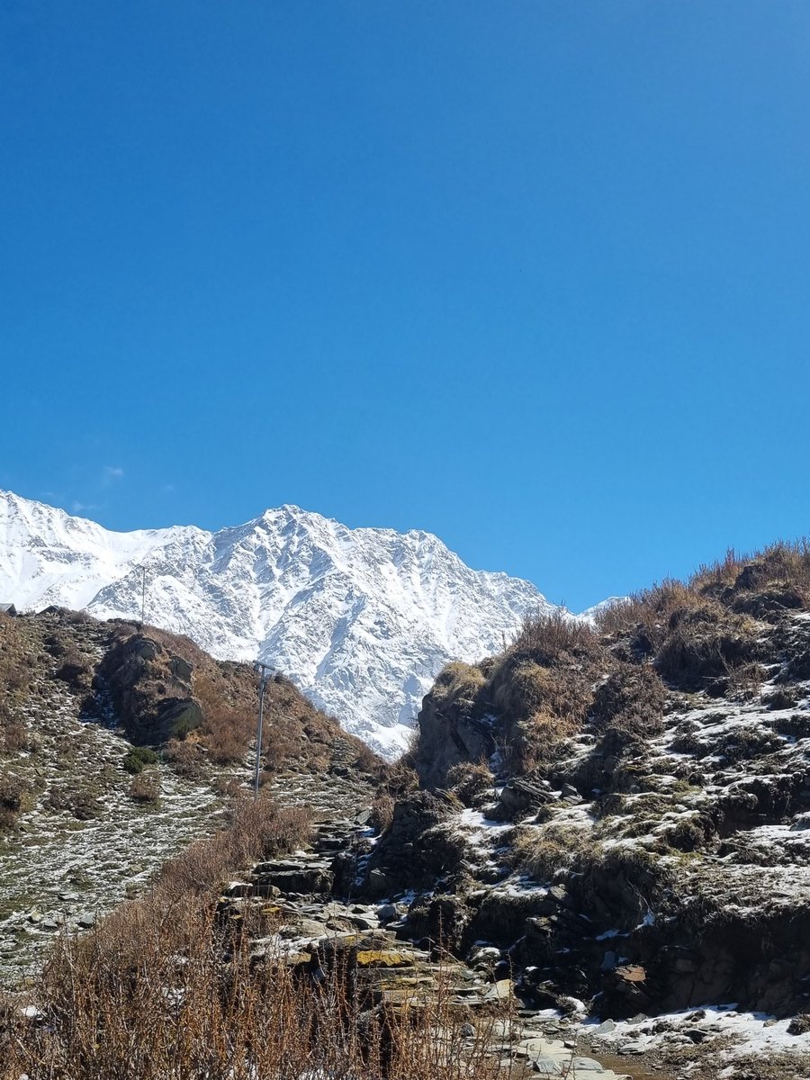 Ajay Sharma tweet media