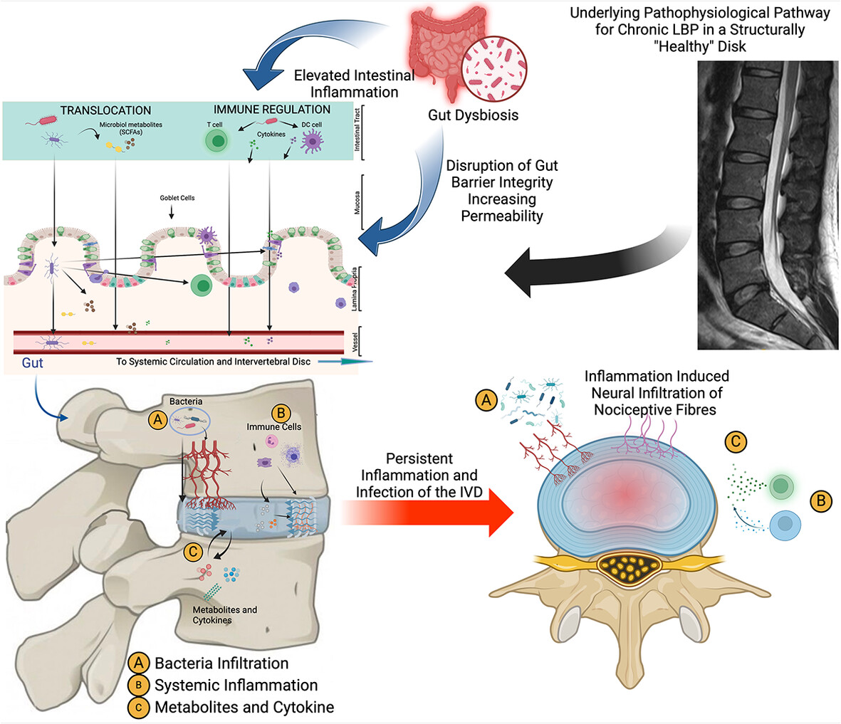 Physio Meets Science tweet media