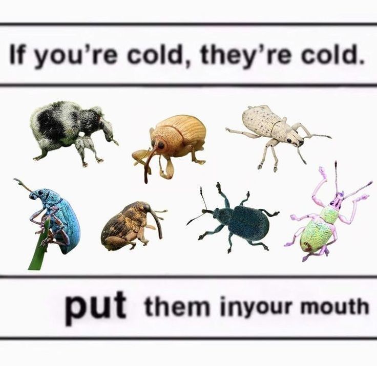 gothic cowboy (@sheisvampyr) on Twitter photo 