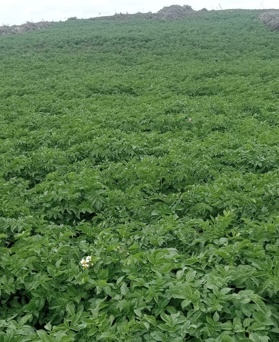 Zimbabwean-Xhosa 🇿🇼 🇲🇿 tweet media