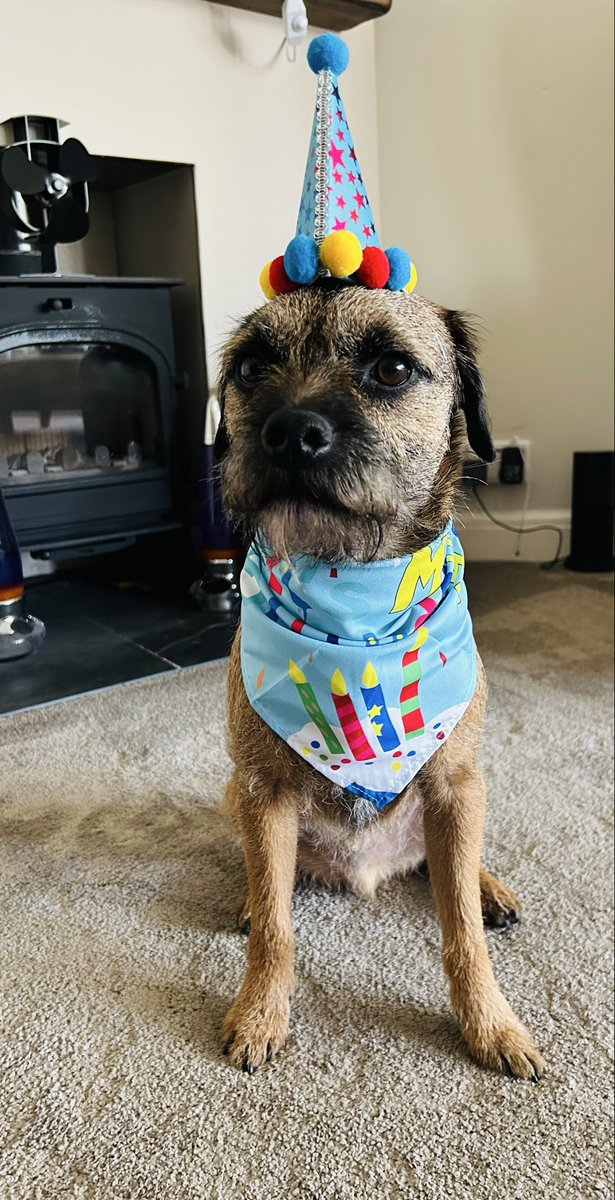 MrsLC & Walter “The sock eating BT” OBE tweet media