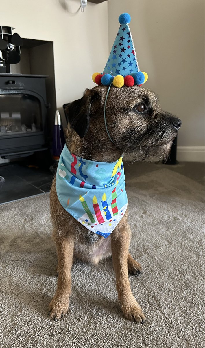 MrsLC & Walter “The sock eating BT” OBE tweet media