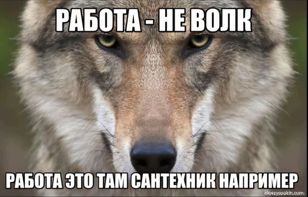 Never🐍 tweet media