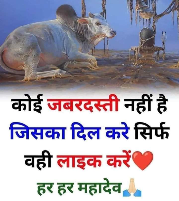 सत्य सनातन 'मोदी का परिवार' tweet media