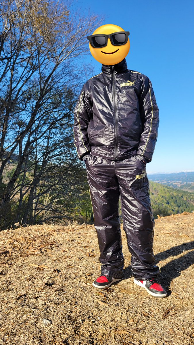 shinytrackies tweet media