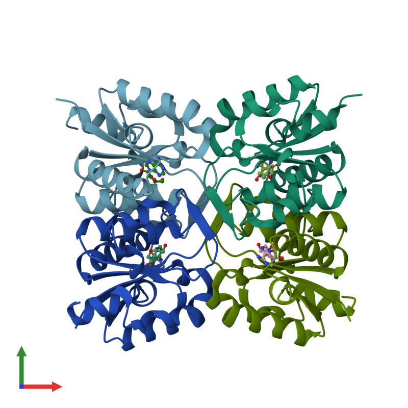 Diamond MX Beamlines tweet media