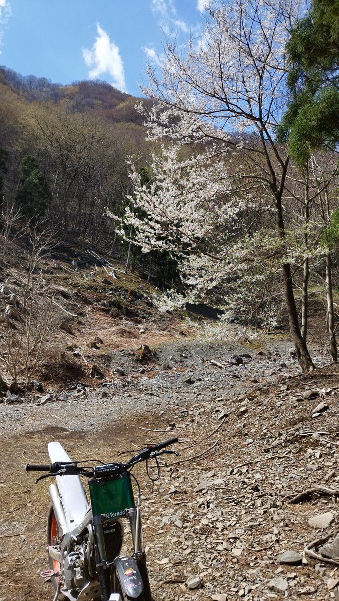 Rebic Channel tweet media