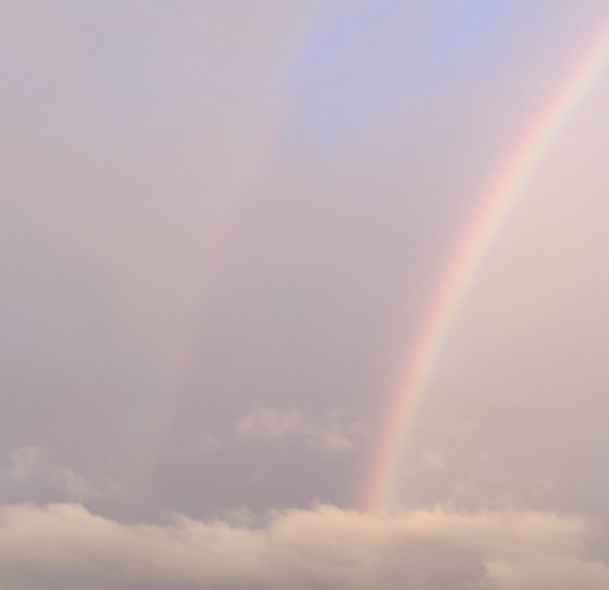 碌 🌫️ roku tweet media