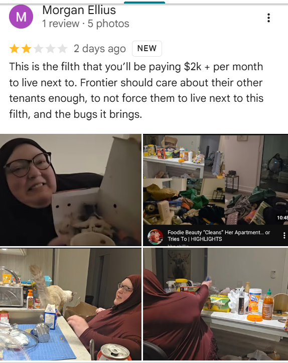 Ghost Crab 🫧 tweet media