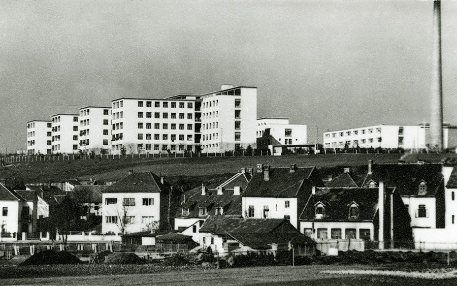 Andrija Kačić Miošić ♱ tweet media