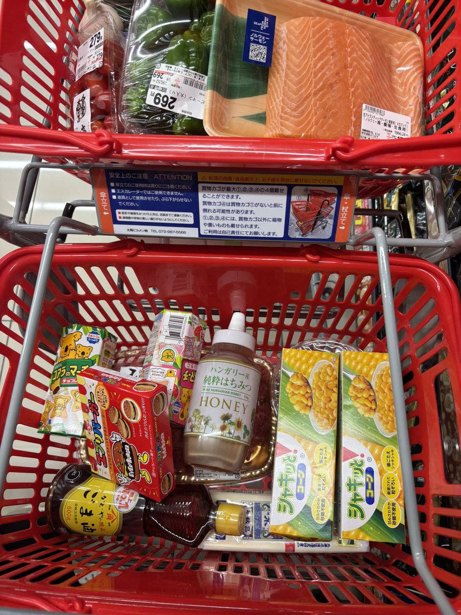 えるめす⛩16時間ファスティング狂*2026/2/11〜 tweet media