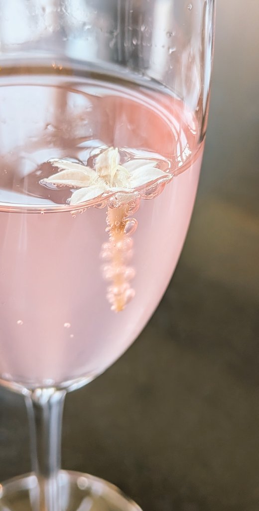 サク(ゆい) tweet media