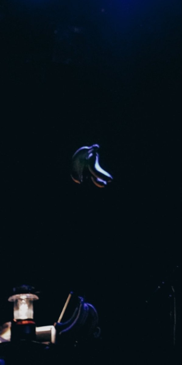 Noah Oda - 小田乃愛 tweet media