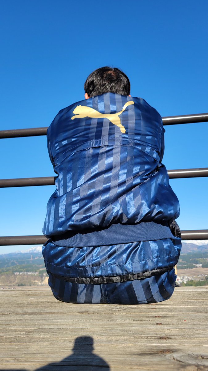 shinytrackies tweet media