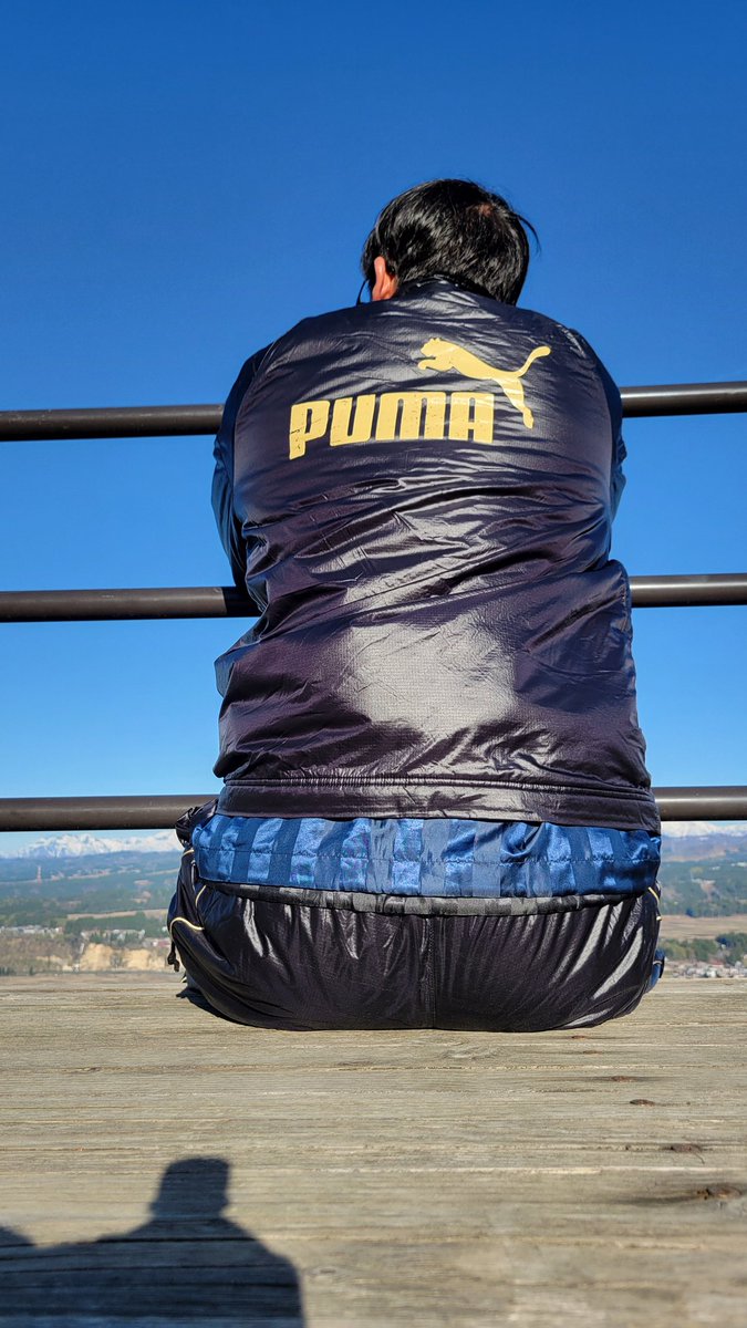 shinytrackies tweet media