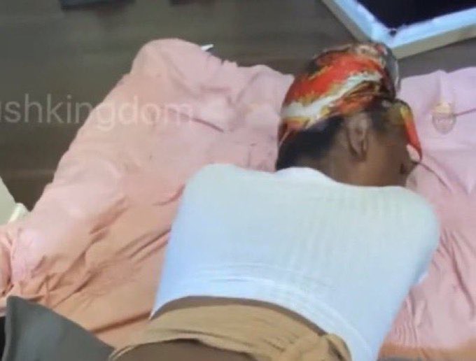 damo tigo tweet media