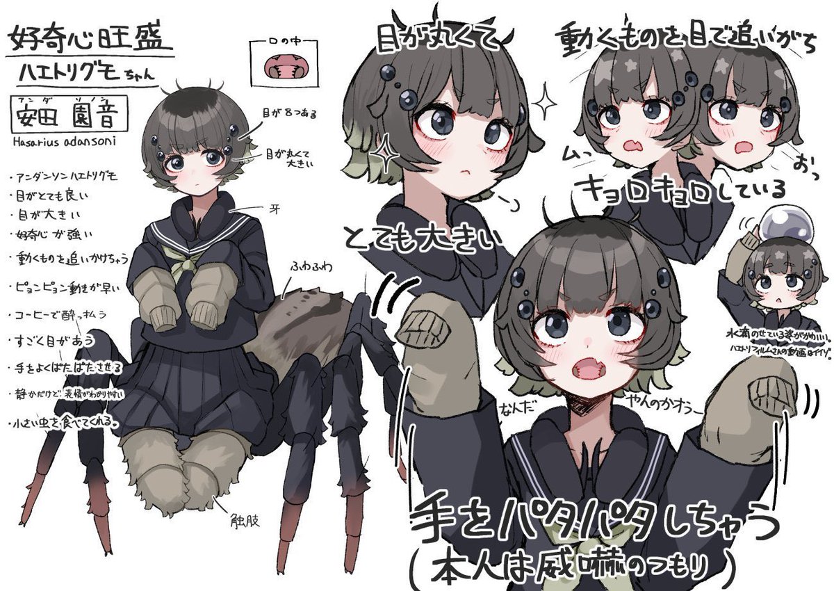 熊野プラン🐻4/12 SB浜松町 tweet media