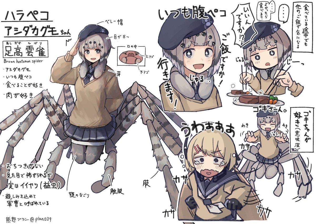 熊野プラン🐻4/12 SB浜松町 tweet media