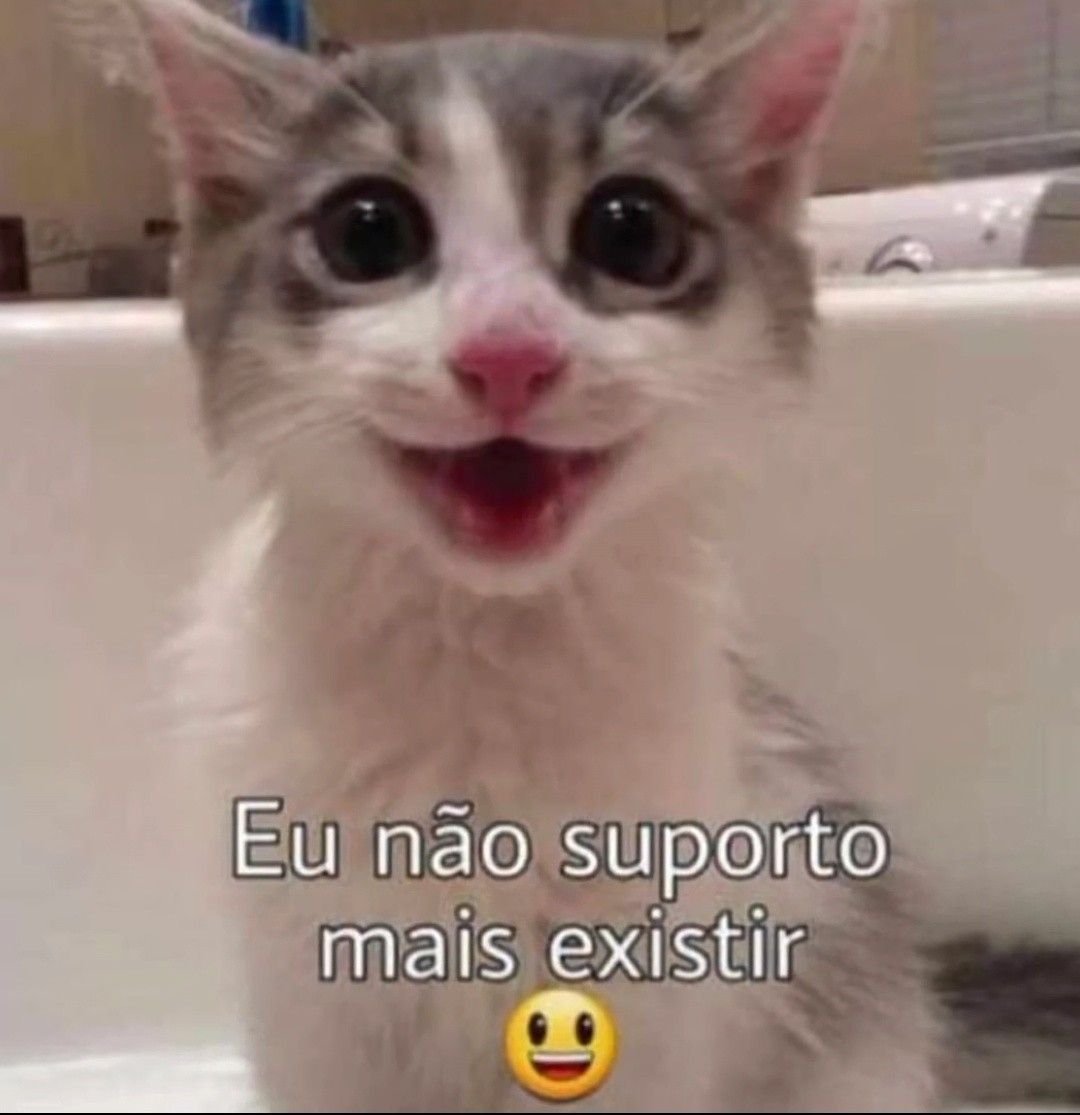 perfil dedicado a gatinhos e peitos tweet media