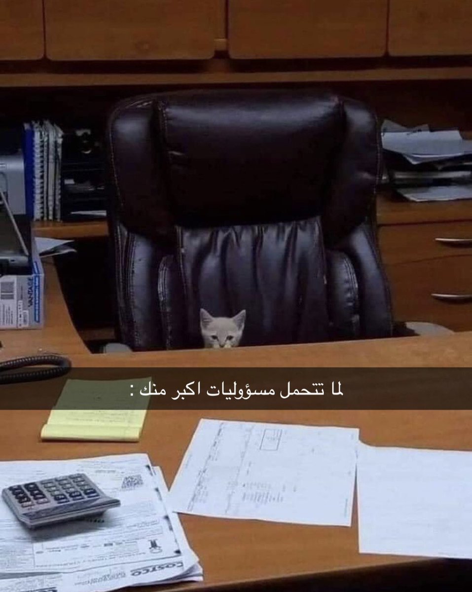 عـلـي 🇦🇪 tweet media