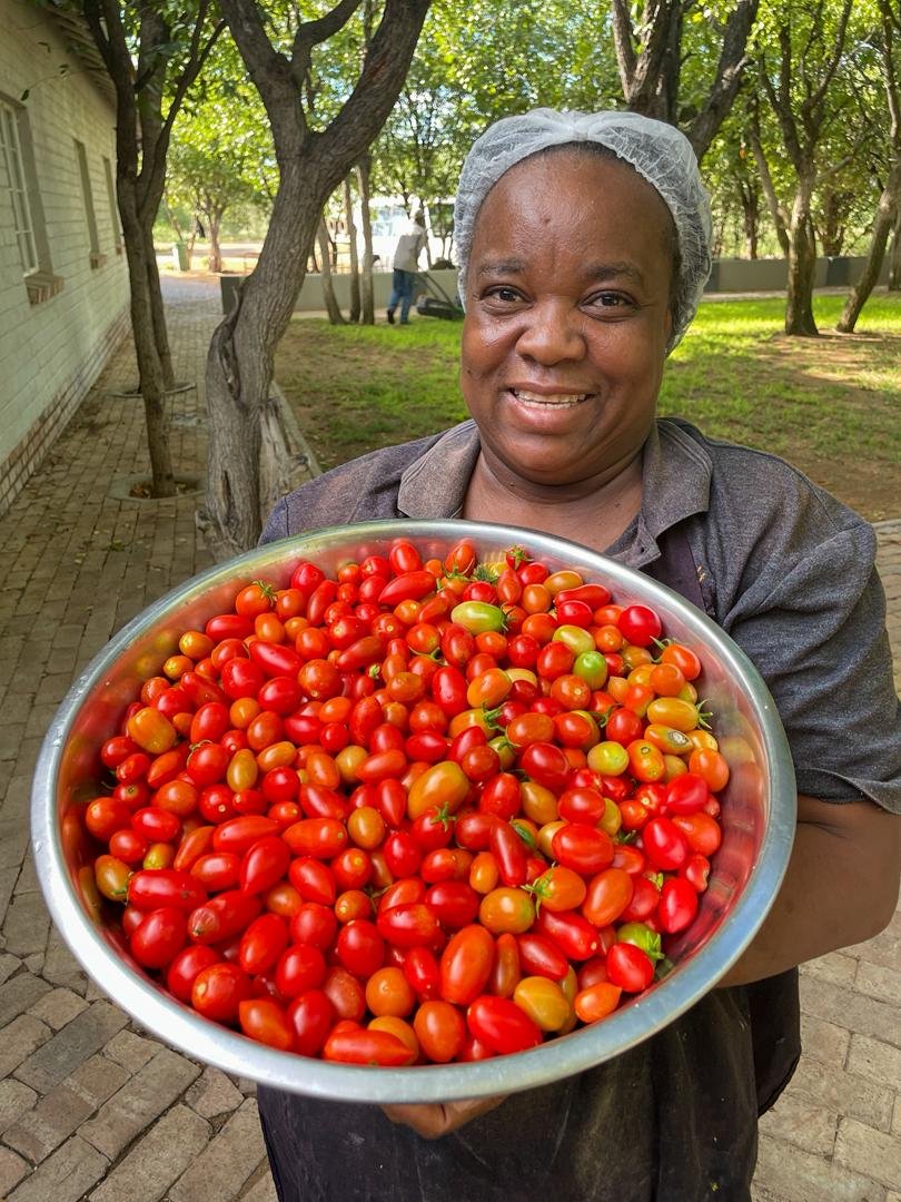 GondwanaLodges's tweet image. From Shitaleni and Petrus in the garden at first light — to Chef Vicky's kitchen by evening. At Damara Mopane, the journey from soil to plate is measured in hours, not miles. 🌱 #GondwanaLodges #Namibia #FarmToTable