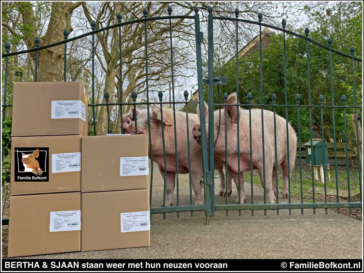 THUISBEZORGD

Bij zijn visite aan Grietje bracht de Dierendokter ook nog wat mee.

Hij tilde een halve apotheek uit zijn kofferbak.

De nieuwsgierige zussen kwamen meteen kijken.

Lekkere hapjes?

Nee meisjes, jullie peperdure pijnpillen: 1009,99 euro.

Kunnen jullie weer een
