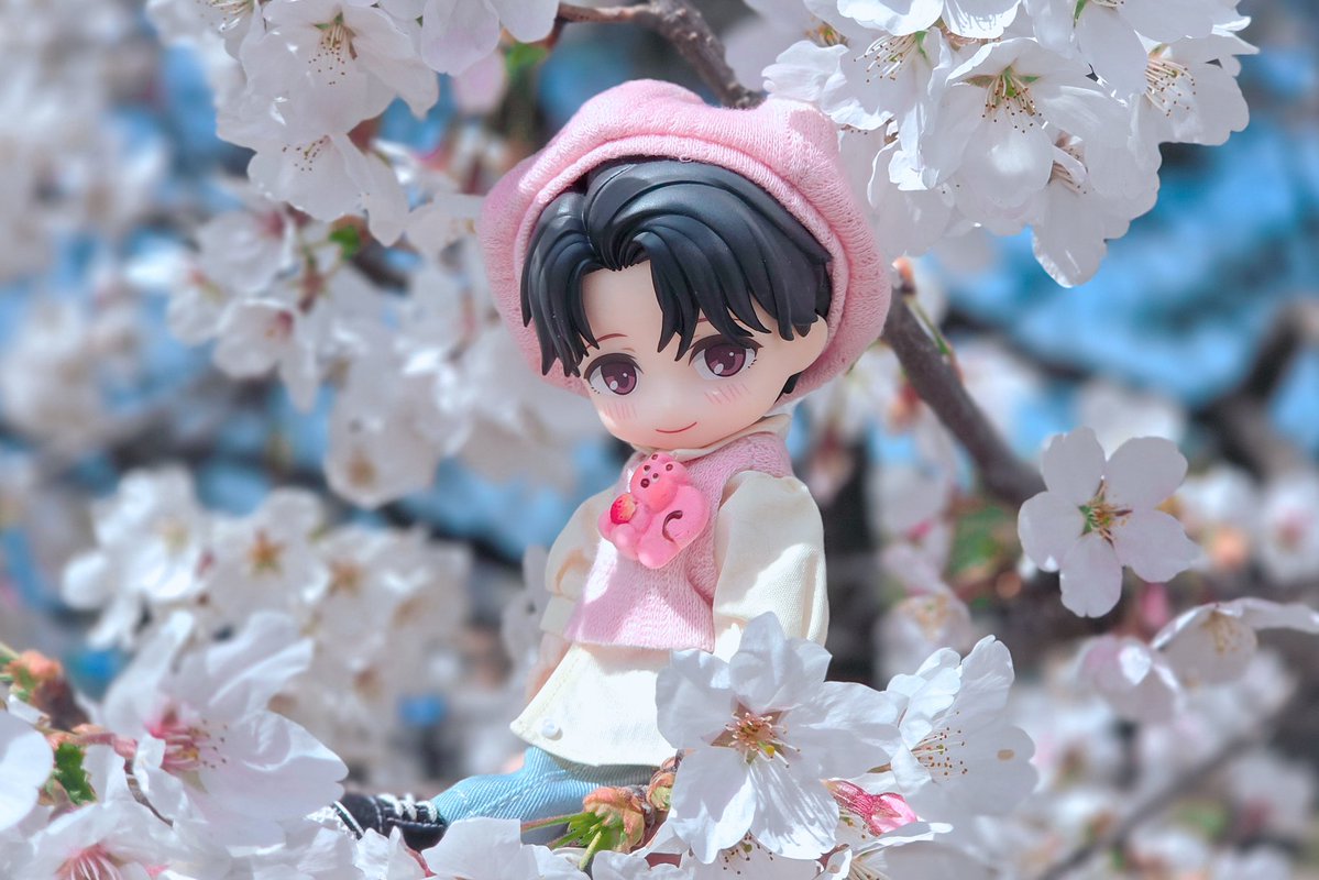 🌸🩷
진짜 봄
#내손안의작은친구