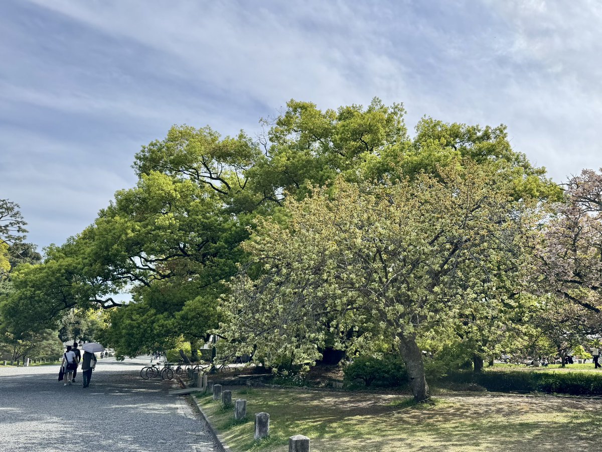 🎐🌻ゆーひん🌻🎐 tweet media