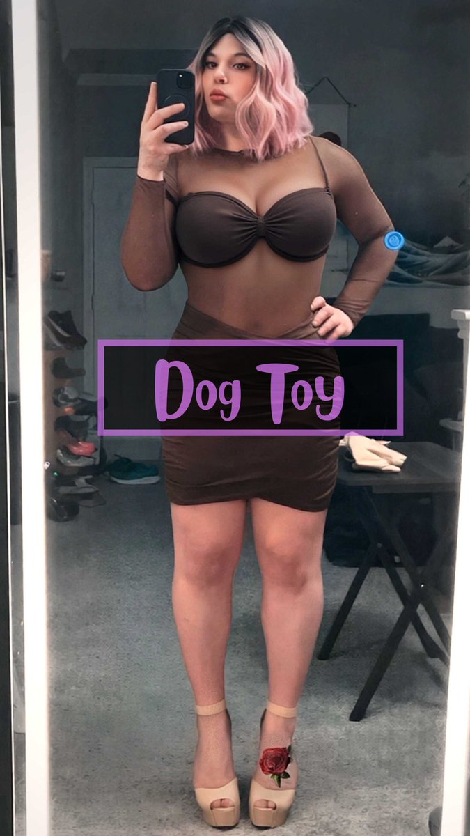 BrisbayThomas's tweet photo. Locked desperate sissy craving to be knot-fucked raw and pumped full of poz loads. Used as a toilet mouth wide open under their ass, swallowing every thick log of shit straight from the source while I leak and whimper in my cage. Who wants to make this dream come true? Knot my throat and ass, breed me with poz cum, turn me into a shit eating toilet slave. Fully expose me online for everyone see.