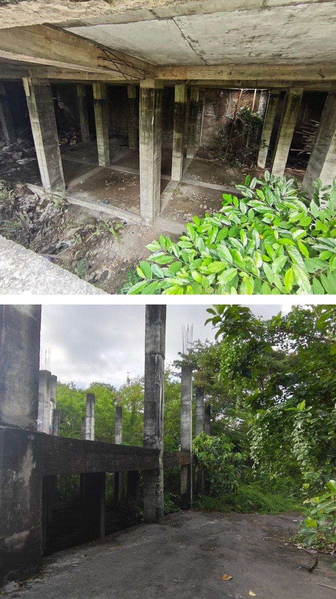 man_youngOnly tweet media