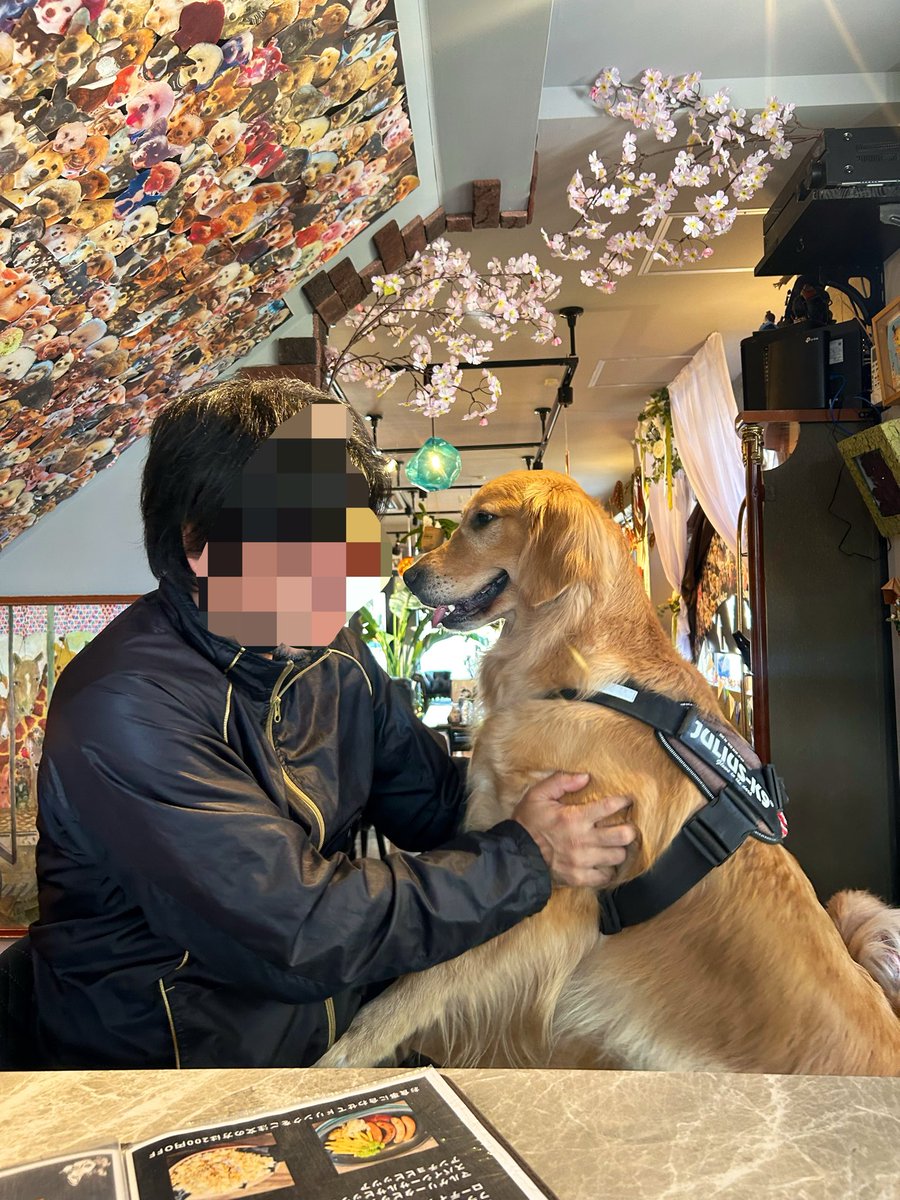 ムタプン tweet media