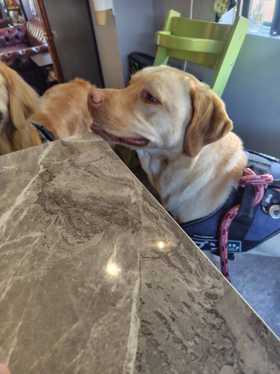 ムタプン tweet media