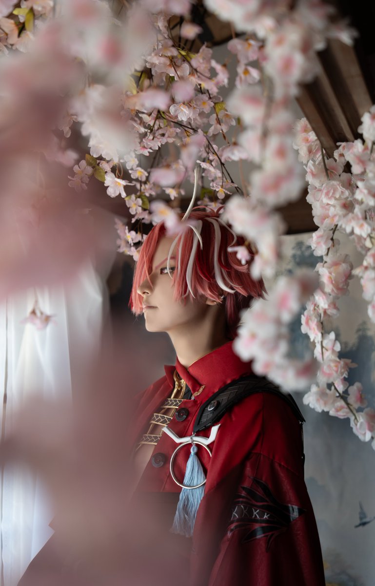 のらねこ tweet media