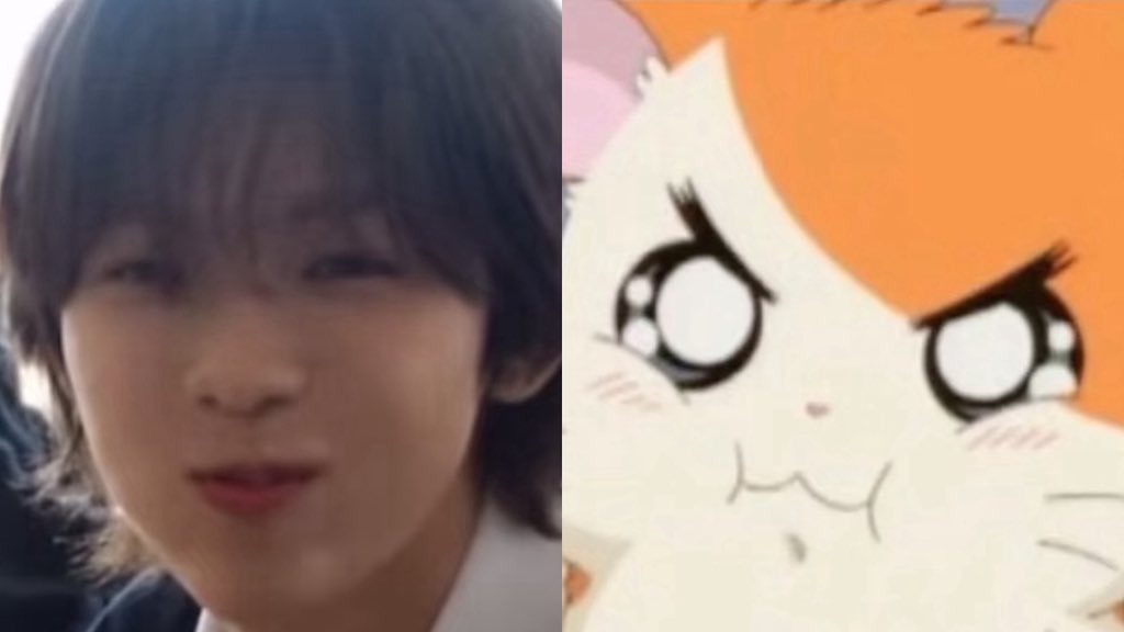 소설짱 tweet media