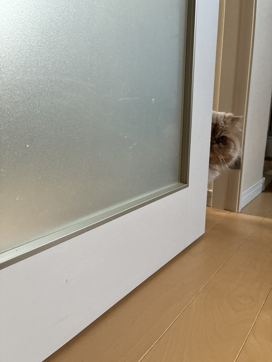 ムック tweet media