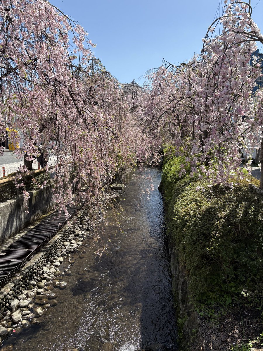 もっちー@4/19かすみがうらマラソン tweet media