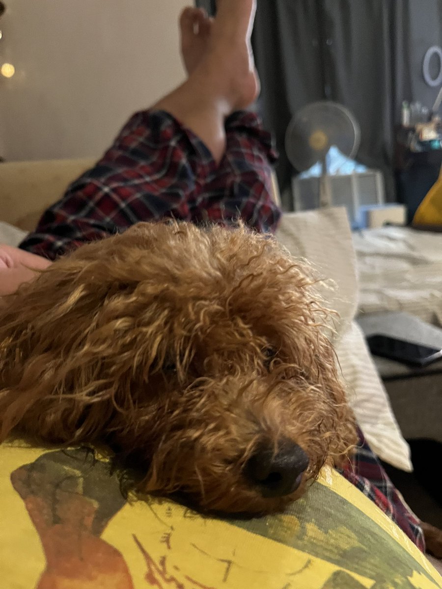 スローン tweet media