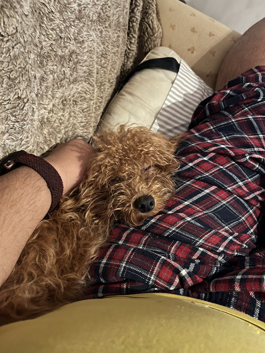 スローン tweet media