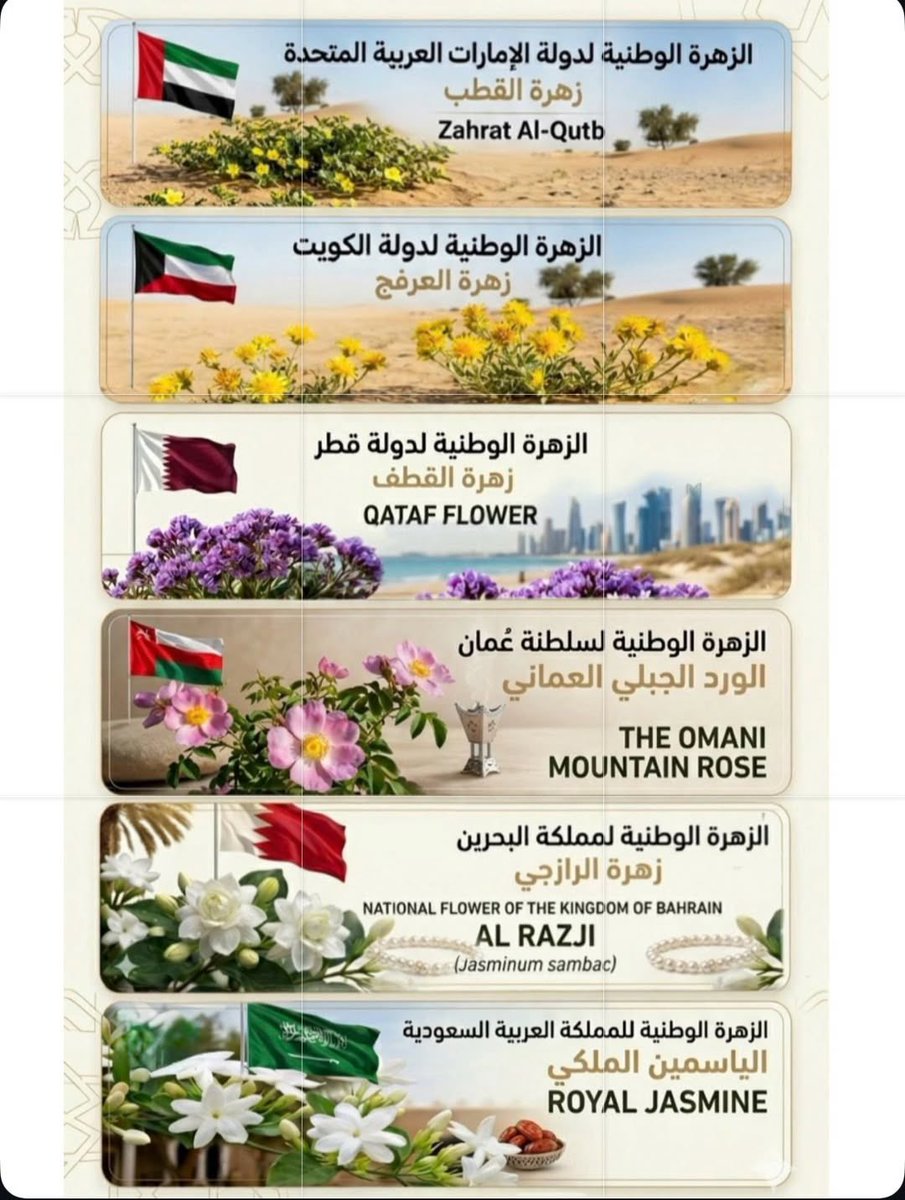 يوسف🇰🇼❤️ tweet media