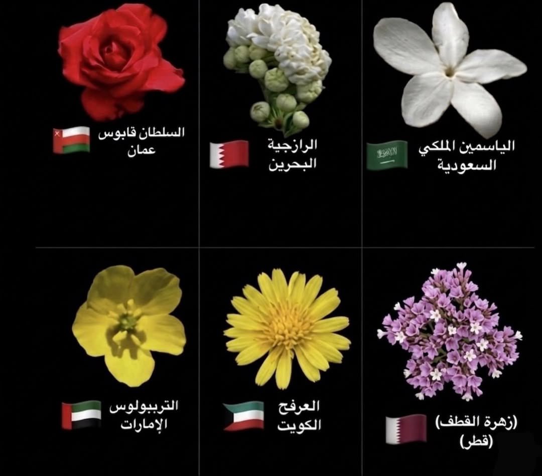 يوسف🇰🇼❤️ tweet media