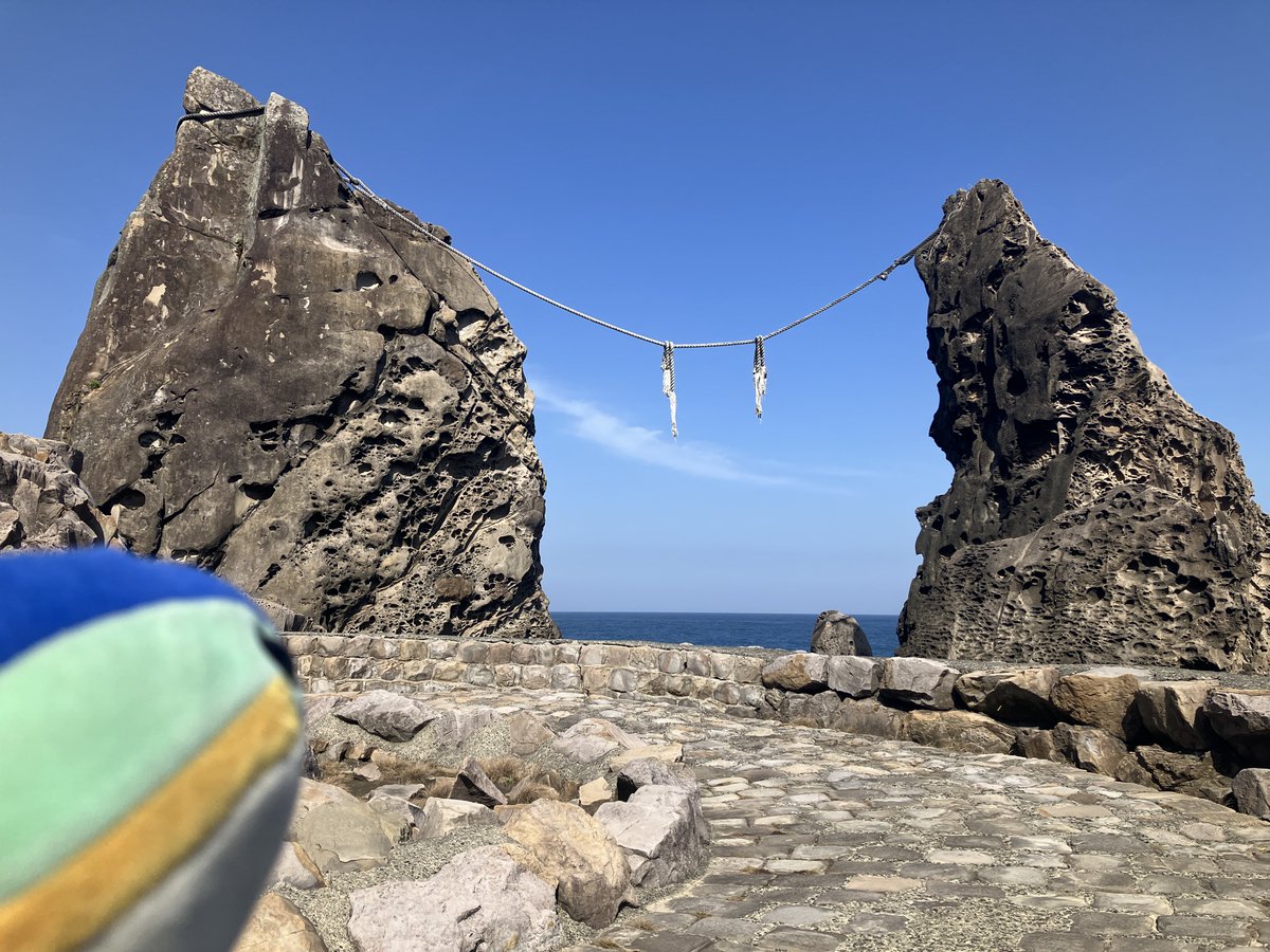 ブリ、世界だよ tweet media