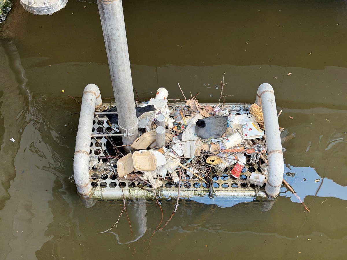 Henk Stroomenbergh tweet media