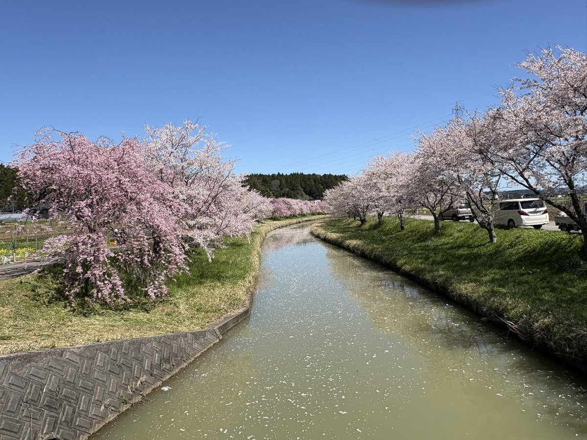 wee（custard）万博2025に感謝❗️ tweet media