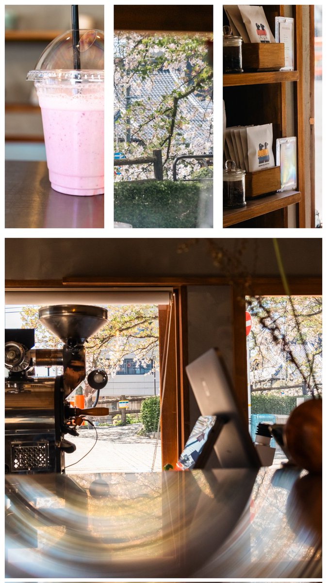 hiroiro555's tweet photo. 市内をぶらぶら。
桜散って袋川周辺は静かだった。 https://t.co/lpQq3sdVhL