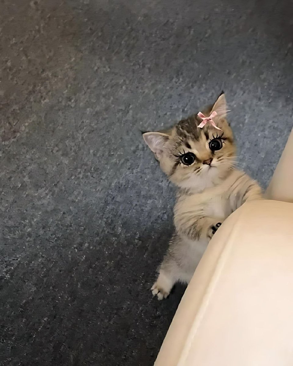 آســمـرانـيه🍫 tweet media