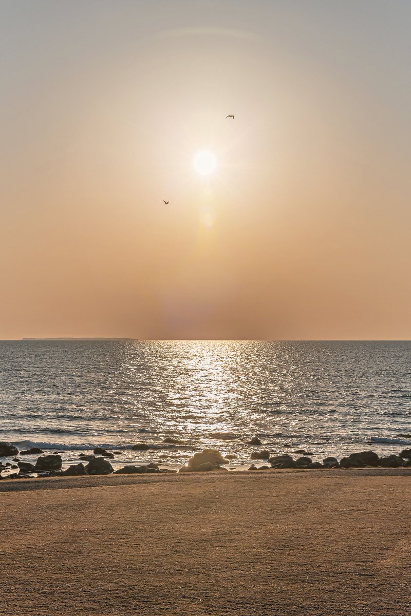 える♪/しゃしん&げーむ垢@Focusing on Steam games♪ tweet media